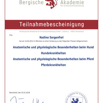 anatomische und physiologische Besonderheiten Hund bzw. Pferd