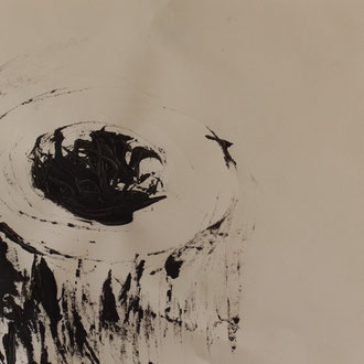 20 x 30 cm 