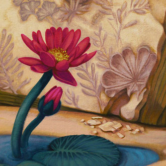 Fossils and Water Lilies