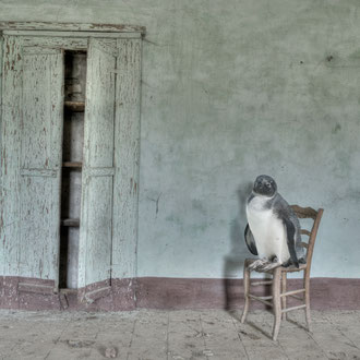 Stanza n. 7 (resto in attesa) - Room n. 7 (I continue waiting) - Stampa Giclée su carta cotone Hahnemuhle, cm 50x75,  Ed. n° 7 + II p.a. 