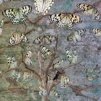 la lentezza del risveglio - the slowness of awakening - Stampa Giclée su carta cotone Hahnemuhle, cm 30x45,  Ed. n° 7 + II p.a. 