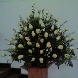 REF.29