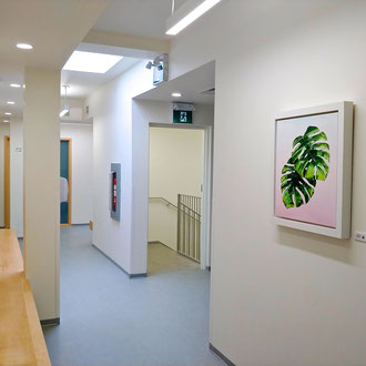 Novomed clinic installation shot