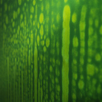 P2, 2003 | Detail                
