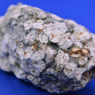 北海道置戸常呂川上流 球顆状凝灰岩 - sapporochitan ページ！