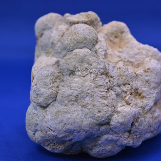 流紋岩 庭石 岩石 鉱物 コレクター向け