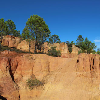 Colorado d'ocre et d'arbres - vers Gargas (Vaucluse) Provence, Août 2018