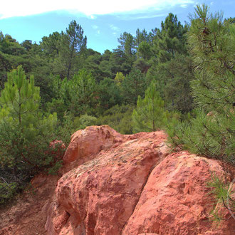 Colorado d'ocre et d'arbres - vers Gargas (Vaucluse) Provence, Août 2015