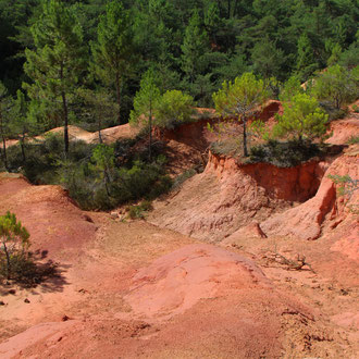 Colorado d'ocre et d'arbres - vers Gargas (Vaucluse) Provence, Août 2015