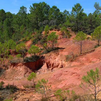 Colorado d'ocre et d'arbres - vers Gargas (Vaucluse) Provence, Août 2015