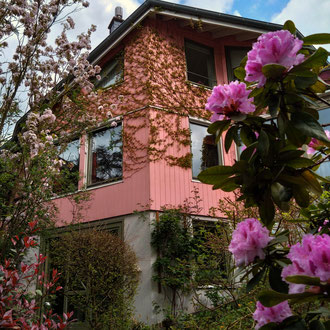 Mwhrfamilienhaus als Holzhaus bauen
