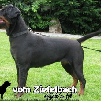 3 Jahre
