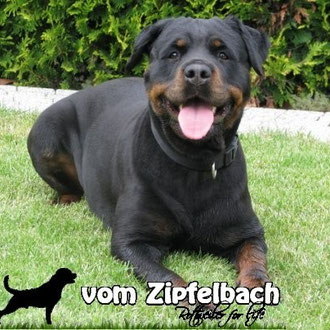 3 Jahre