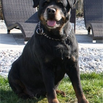 8,5 Jahre
