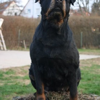 7 Jahre