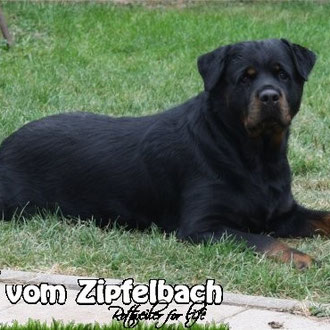 5,5 Jahre