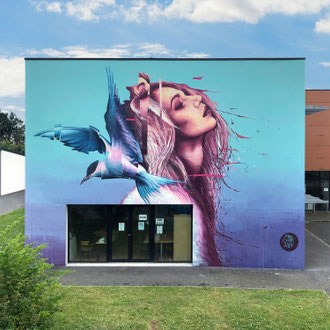 Fresque street-art à Saint-Brieuc, Côtes-d'Armor (Bretagne) par l'artiste peintre muraliste GRAFFMATT peinture murale lors du festival Just Do Paint commune commande professionnel graffiti artiste streetart 