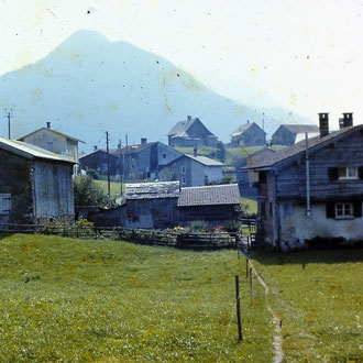Fussweg Gerbergut-Loch