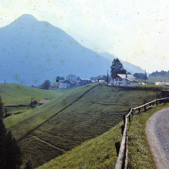 Weg zum Rüfeli