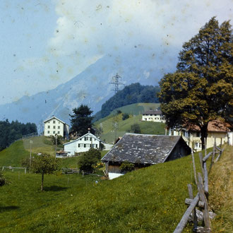 Gerbergut von Süden 