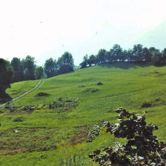 Holderboden von Westen