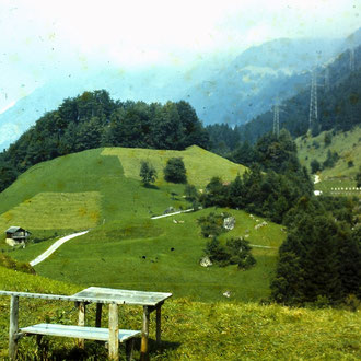 Blick vom Schiessstand zur Burgruine Sola