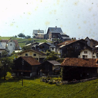 Dörfli von Egglistrasse aus