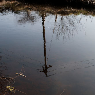 Irlande, Comté du Connemara, Athenry, reflet au gué de la Clareen