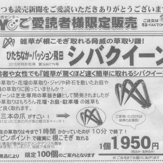 読売新聞ご愛読者様限定販売「シバクイーン」