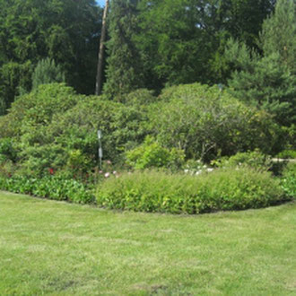 Rhododendronpark, Graal - Müritz, Ostsee, Mecklenburg - Vorpommern