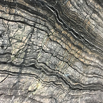 marbre Black Crocodile