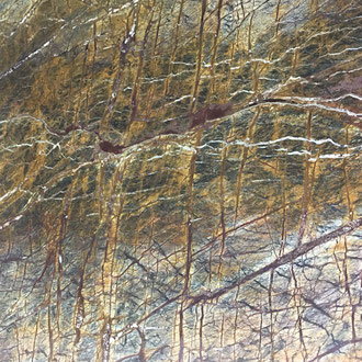 marbre Deep Forest Antico - finition polie