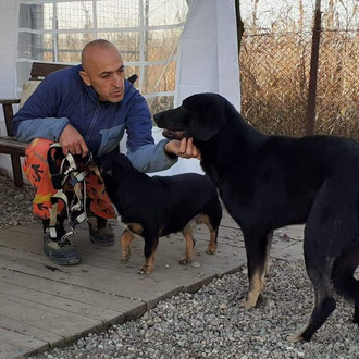 Cristian - er wurde von Active Friends eingestellt und leitet unser Tierheim in Tamaseu. Er kümmert sich sehr liebevoll um unsere Hunde im Tierheim in Tamaseu. 