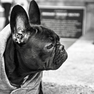 その痛みあきらめる前に 整体なら望月均整院 その痛みあきらめる前に 整体なら望月均整院 相模原 町田 座間