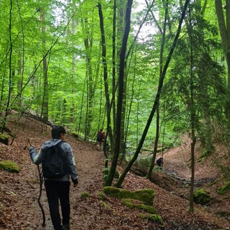 Dürrbach-Klinge, Foto Michele Messina