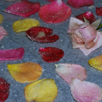 Kandierte Rosenblätter