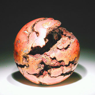 "Terra incognita 002" ronce de manzanita - dia 33 cm - 2005