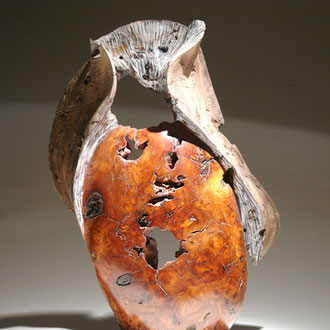 "Chimère" loupe d'orme - h60 cm - 2008