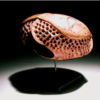 "Chimera 3" ronce de bruyère - h 15 cm - 2004