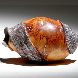 "Carambole longue" ronce de bruyère - h 12cm - 2008