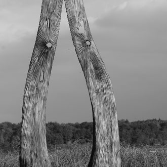 "Flamenco 2" Chêne patiné - H 200cm