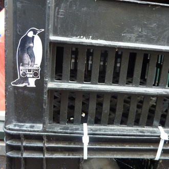 Pinguin in Amsterdam