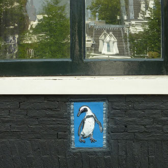 Pinguin in Amsterdam