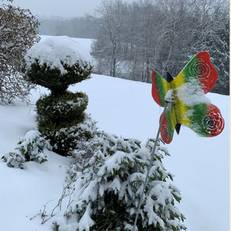 Schmetterling im Winter