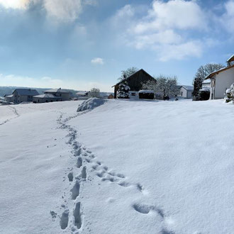Panorama im Winter