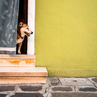 BURANO #37