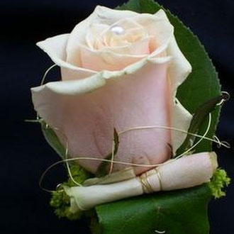 Corsage Bräutigam