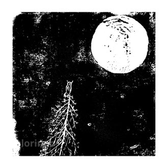 Nuit de Solstice