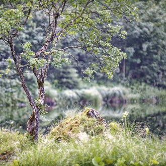 Am Ostersee