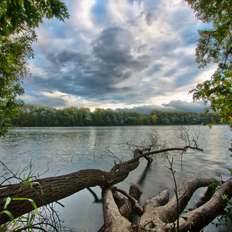 Weikerlsee Traunauen